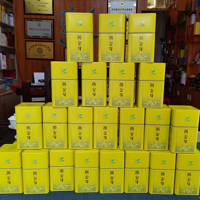 广西三江明前高山绿茶黄金芽散装 2023新茶三江茶叶图4