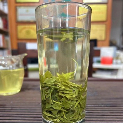 2023新茶广西绿茶浓香型茶叶批发烘焙鲜茶500g奶茶原料批发图2