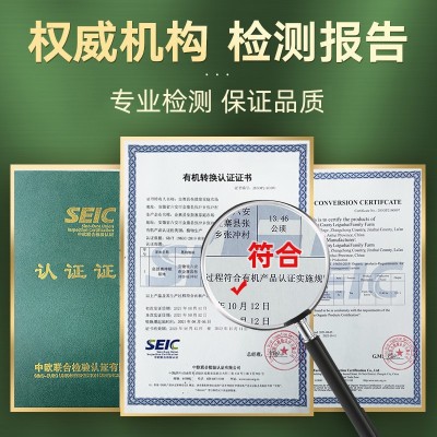 风蔓新茶高山茶六安瓜片散装500g 高山云雾茶叶绿茶口粮茶好喝A3图2