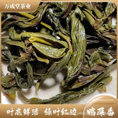 凤凰春茶鸭屎香蜜兰香高山老树单枞茶潮汕工夫茶批发单丛乌岽茶叶图4
