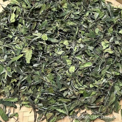 2023年春贡眉福鼎白茶散茶磻溪寿眉云雾层兰花香水甜日晒高山茶叶图3