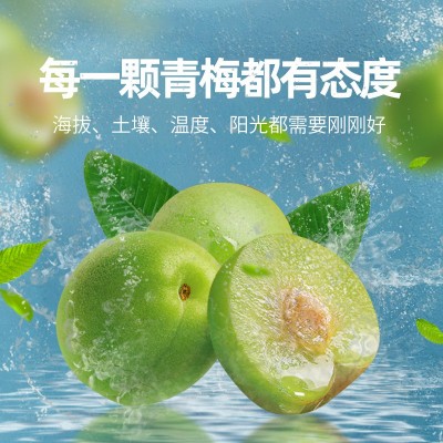 厂家直批 梅姜君散装包装日式梅片每袋80g 话梅蜜饯果脯加工批发图4