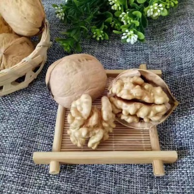 新疆185纸皮核桃批发代发500g 手捏阿克苏核桃坚果特产薄皮核桃图3