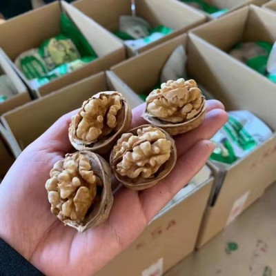 新疆185纸皮核桃批发代发500g 手捏阿克苏核桃坚果特产薄皮核桃图4