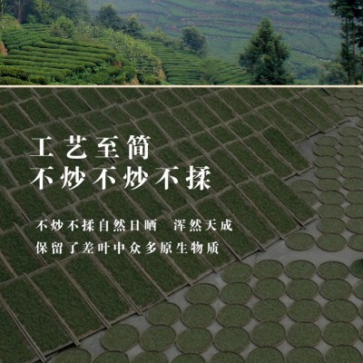 福鼎白茶陈年老白茶枣香寿眉贡眉白牡丹茶叶批发2022年特牡图4