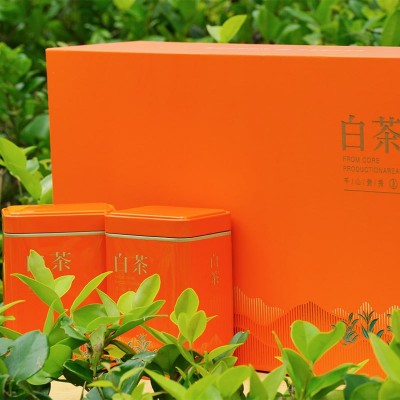 安吉白茶礼盒装2023新茶安吉货源礼品采购白茶橙色礼盒喜庆高端图4