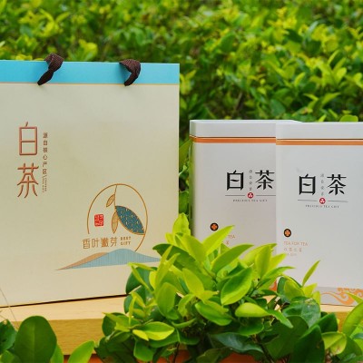 2023新茶安吉白茶伴手礼礼品袋装企业福利产地茶团购安吉直发图2
