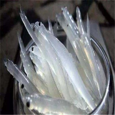 长江银鱼 鱼细骨无鳞 色明莹如银 其味又极鲜美 唐洋丽泽图2