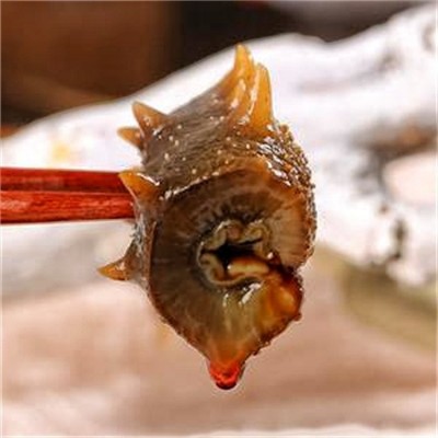 现货批发代发500g开袋即食海参鲜活刺参冷冻速食图2
