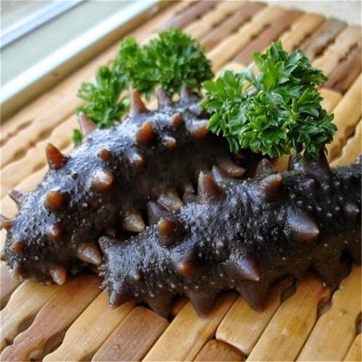 源头工厂批发即食海参营养保存完善非淡干 冷冻鲜食刺参图4