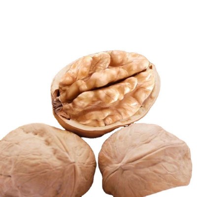 新疆特产薄皮核桃大量批发代发500g 阿克苏核桃坚果手捏生核桃图5