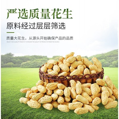 包邮花生浓香食用调和油大桶食用油油植物油批发2.5L金桥花生油图2