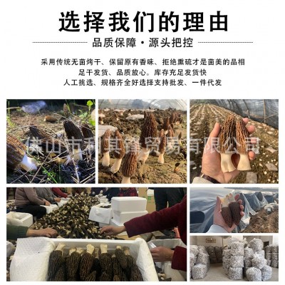 羊肚菌干货云南头茬剪脚5-7 菌菇汤料羊肚菌250g社区团购一件代发图2