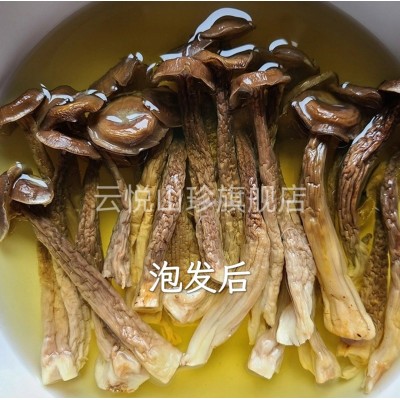 鹿茸菇云南特产鹿干货茸菌脆脆菇批发一件代发图3