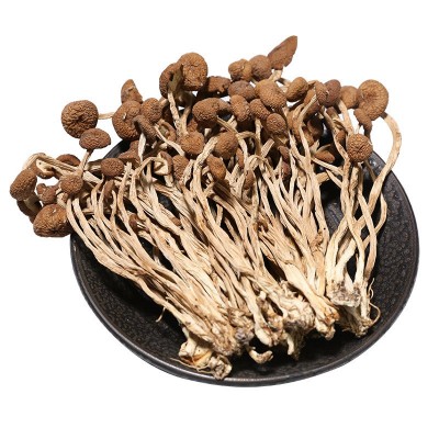 【批发代加工】茶树菇80/250g不开伞茶菇菌菇干货未开伞茶树菇图3