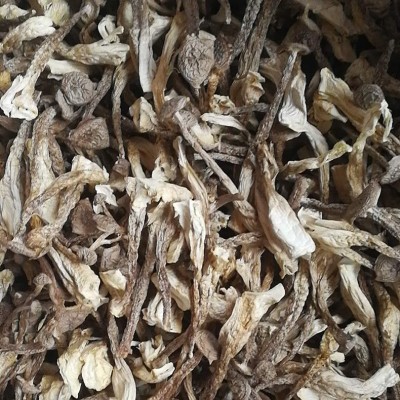 叶小玲古田新货鹿茸菇菌菇干货批发福建农产品500g新货推荐图2