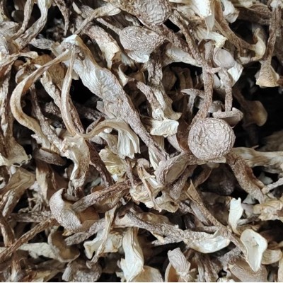 叶小玲新货鹿茸菇干货福建古田菌菇磨菇食用农产品250g推荐图2