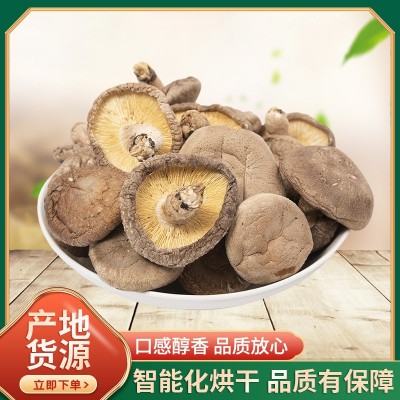 庆元带脚厚菇农家新鲜干香菇食用蘑菇冬菇土特产煲汤餐饮基地供货图2