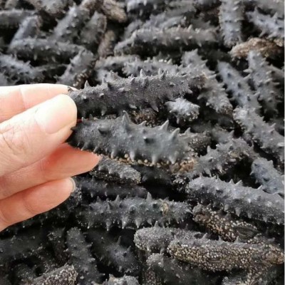 大连深海9年高参龄淡干海参干货50g尝鲜装深海底播淡干海参辽刺参图3