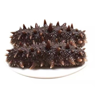 即食海参批发单个装速食大连海参辽刺参海生鲜活速食即时野生海参图5