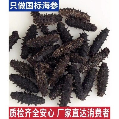 【泡发8倍】大连淡干海参干货散装50g源头工厂直发电商专供货图2