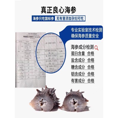 【泡发8倍】大连淡干海参干货散装50g源头工厂直发电商专供货图3