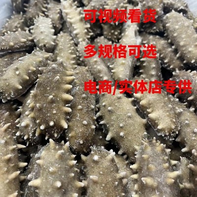 【电商专供】大连即食海参批发辽刺参非海参干货500g速食口感劲道图2