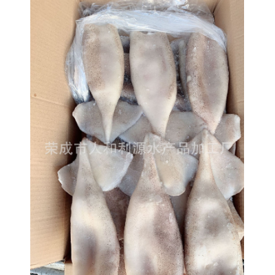 冷冻海鲜 冰冻 鱿鱼筒/鱿鱼须 带头鱿鱼筒 速冻海产品批发图2