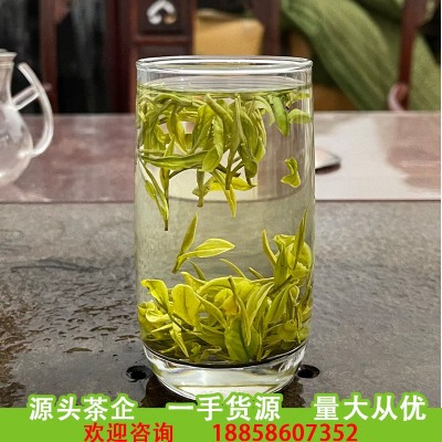 深谷2023凤型松阳白茶毛峰针型茶新茶毛峰茶原产地绿茶散装批发图4