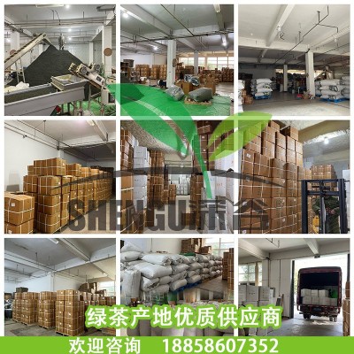 2023新茶明前凤型白茶叶 茶厂货源散茶批发 高山绿茶叶雨前茶浓香图2