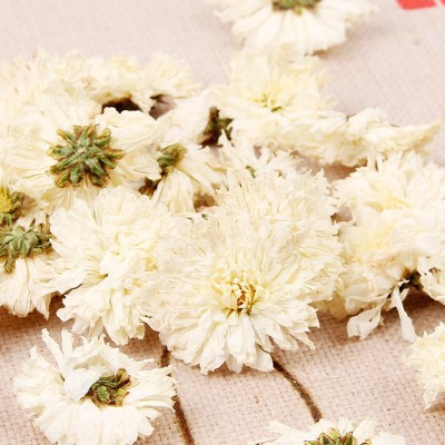 白菊花500g黄山贡菊七月菊散装花茶菊花茶批发太阳花 量大价优图3