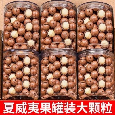 净重250g新货夏威夷果奶油味薄壳罐装奶油味坚果干果休闲零食批发图3
