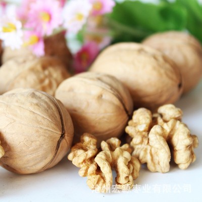 阿克苏纸皮核桃500g厂家批发 新疆核桃零食手剥坚果185薄皮生核桃图4