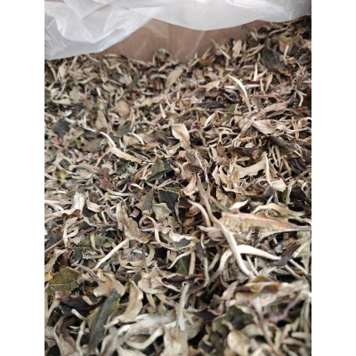 月光白白牡丹云南白茶 月光美人 散茶老白茶批发白毫银针散白茶图4