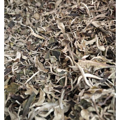 月光白白牡丹云南白茶 月光美人 散茶老白茶批发白毫银针散白茶图2
