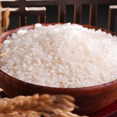 东北大米批发食堂米会销礼品米5kg/袋东北特产小町米批发图2