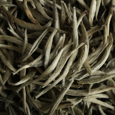 云南普洱生茶 2023白毫银针月光白单芽小芽大白毫明前春茶 老树茶图2