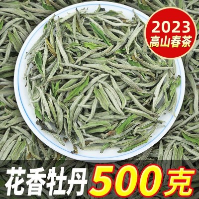 福鼎白牡丹头采春茶2023年白茶一芽一两叶太姥山散装厂家批发花香图2