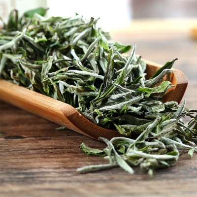 福鼎白牡丹头采春茶2023年白茶一芽一两叶太姥山散装厂家批发花香图3