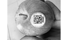 食品的电子“身份证”都包含哪些信息？一文读懂