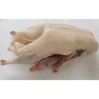 厂家批发新鲜白条鹅 真空冷冻鹅肉 铁锅炖大鹅红烧鹅肉大白鹅整鹅图3