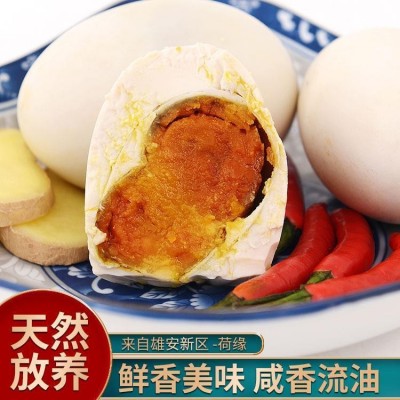 麻鸭蛋 双黄鸭蛋 精品双黄鸭蛋图4