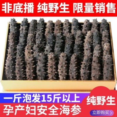 深海捕捞 野生淡干海参干货40-80头/斤 9年参龄刺参 15倍以上泡发率图2