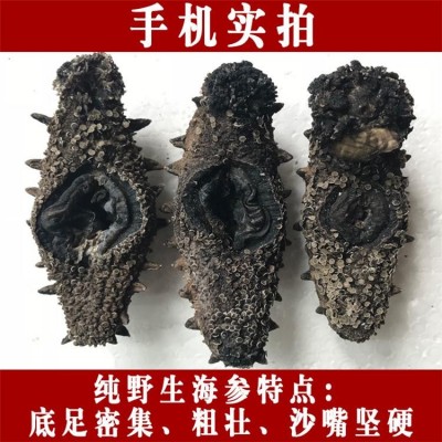 深海捕捞 野生淡干海参干货40-80头/斤 9年参龄刺参 15倍以上泡发率图4