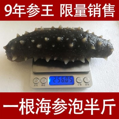深海捕捞 野生淡干海参干货40-80头/斤 9年参龄刺参 15倍以上泡发率图5