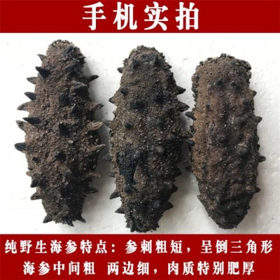 深海捕捞 野生淡干海参干货40-80头/斤 9年参龄刺参 15倍以上泡发率图3
