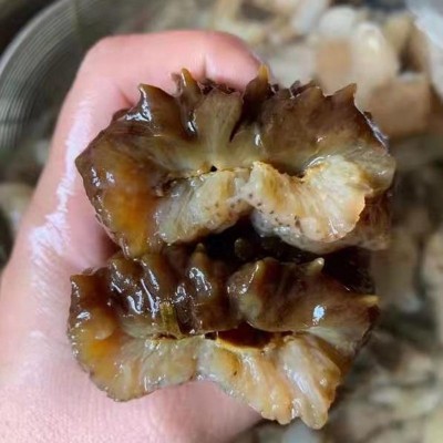 一德路海味6-8头龙纹海参500克包装海味干货礼袋海参批发产地货源图5