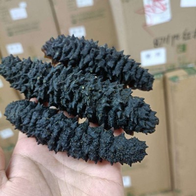 水产螺纹海参干货批发 足干龙纹参淡干海参礼盒装干海参500g直批图2