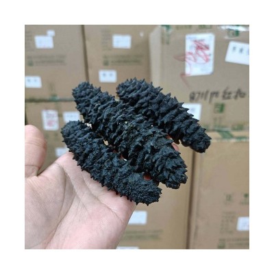 水产螺纹海参干货批发 足干龙纹参淡干海参礼盒装干海参500g直批图5
