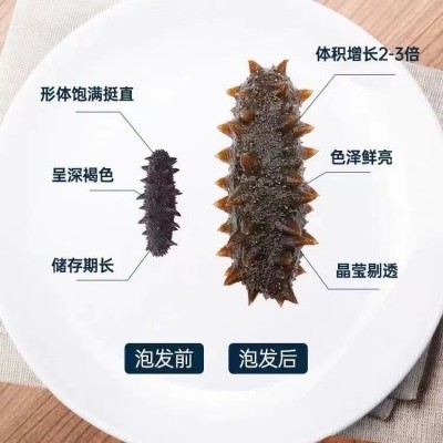大连海参淡干野生底播海参辽参无添加海鲜干货礼盒装高泡发率海参图4